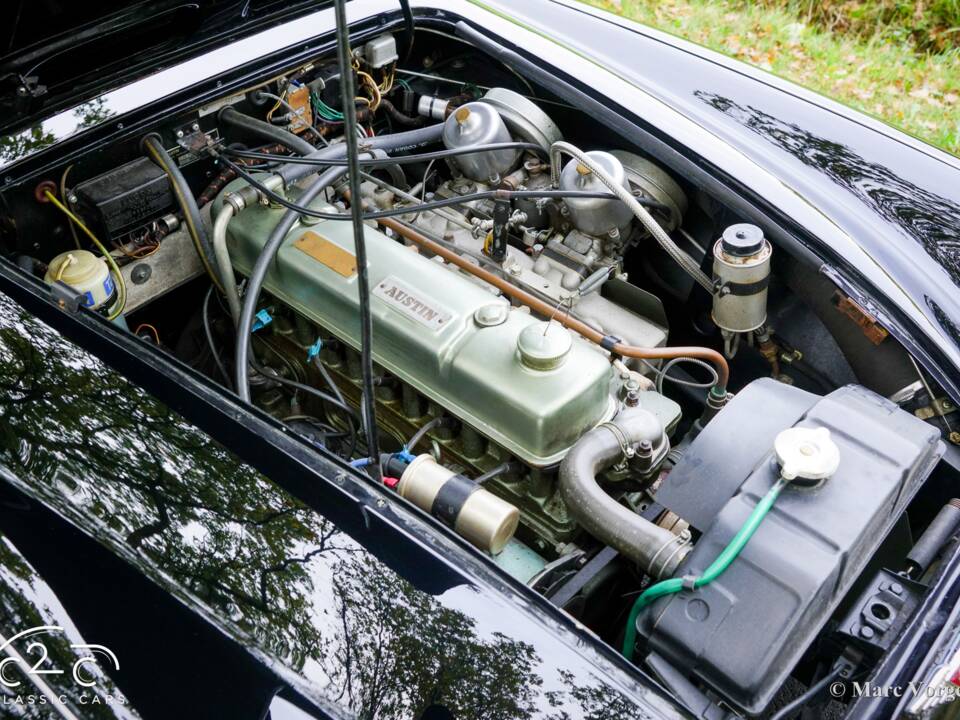Image 13/51 of Austin-Healey 3000 Mk III (BJ8) (1967)