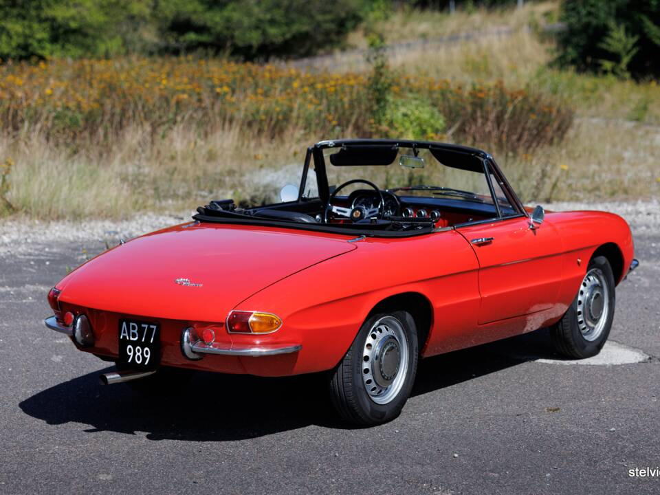 Afbeelding 10/37 van Alfa Romeo 1600 Spider Duetto (1966)