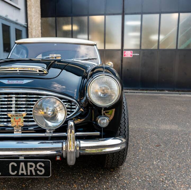 Image 31/50 of Austin-Healey 3000 Mk II (BN7) (1962)