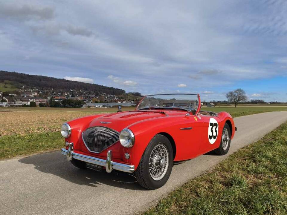 Bild 1/24 von Austin-Healey 100/4 (BN1) (1955)
