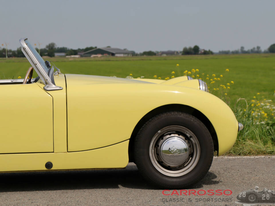 Immagine 18/44 di Austin-Healey Sprite Mk I (1959)