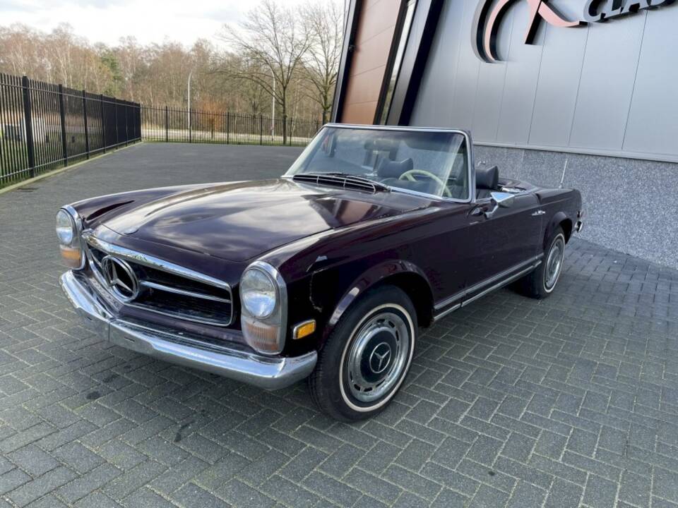 Image 6/36 of Mercedes-Benz 280 SL (1969)