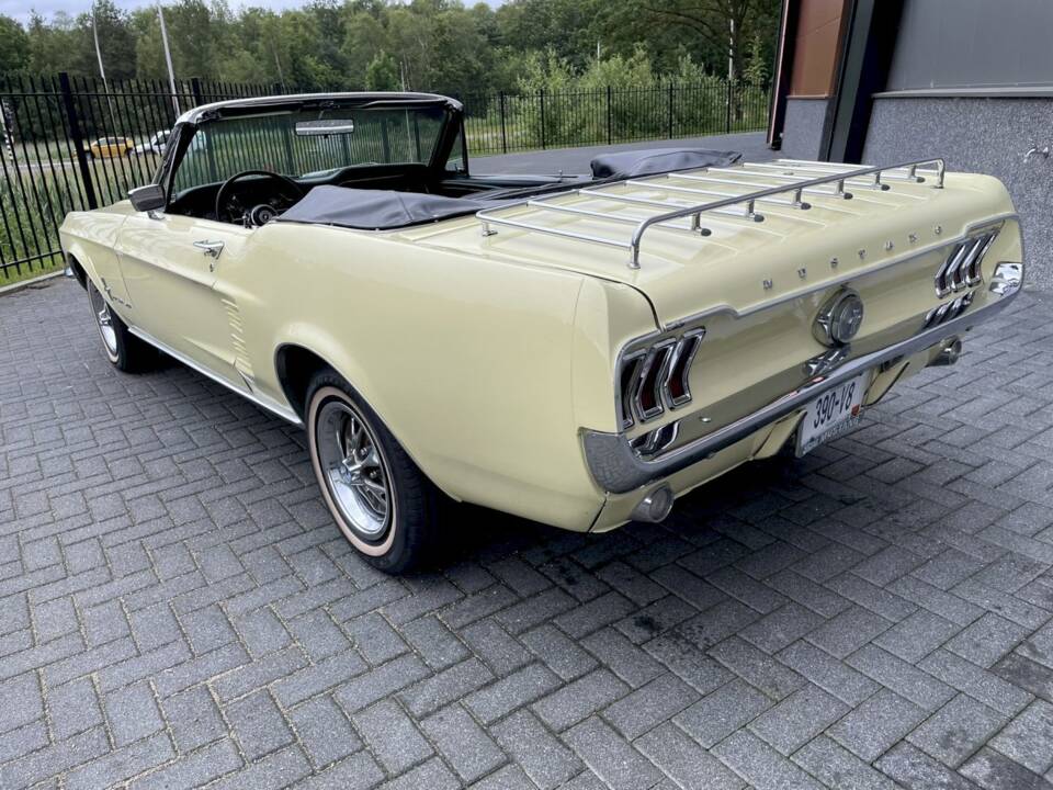 Bild 8/20 von Ford Mustang 390 (1967)