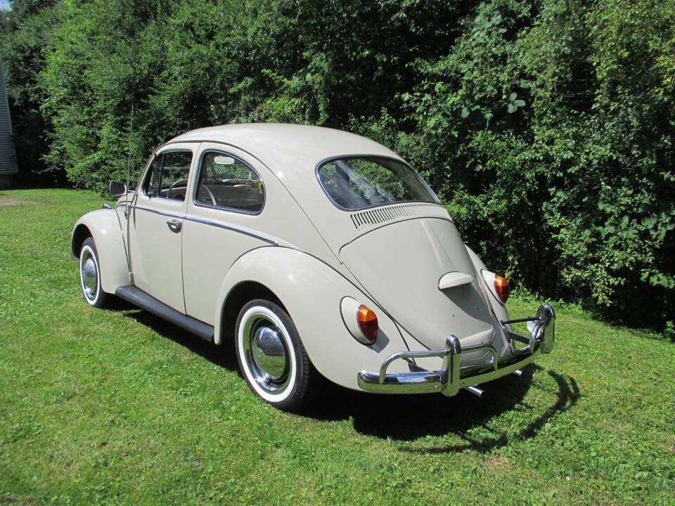 Image 4/39 of Volkswagen Maggiolino 1200 Export "Dickholmer" (1964)