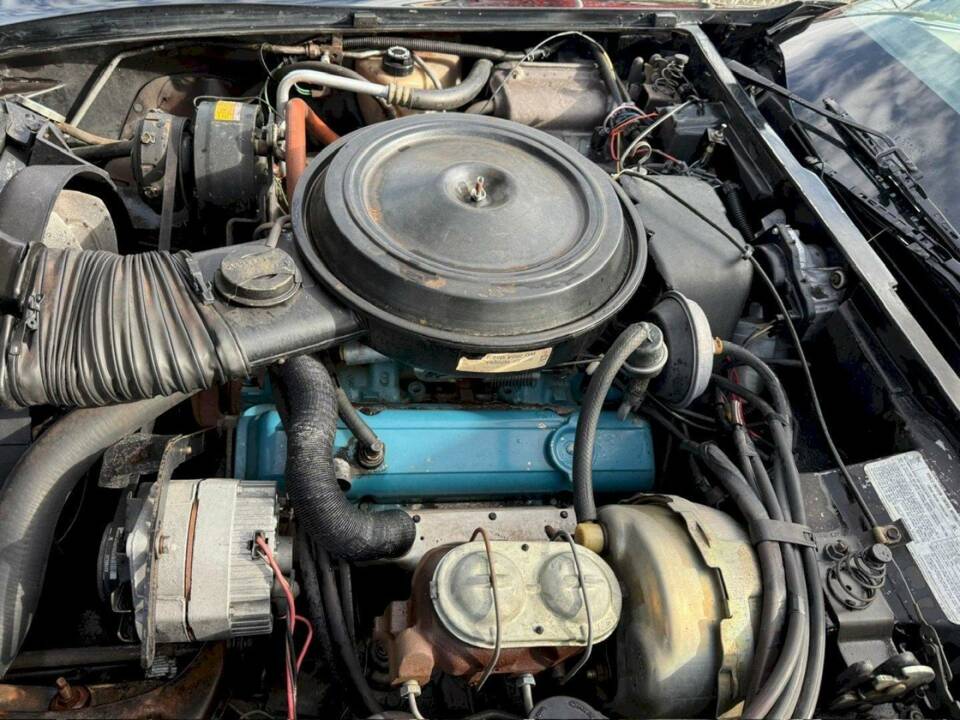 Bild 41/50 von Chevrolet Corvette 25th Anniversary (1978)