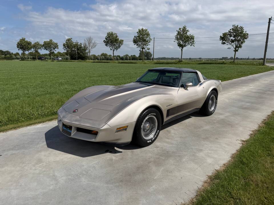Afbeelding 1/50 van Chevrolet Corvette Collector Edition (1982)