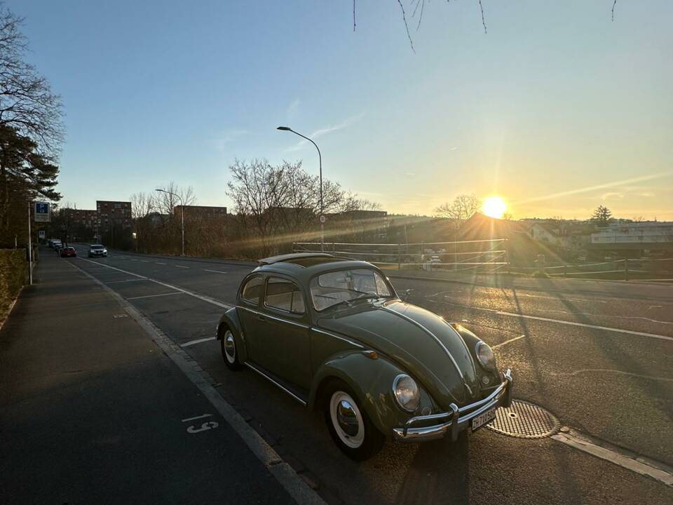 Bild 1/23 von Volkswagen Escarabajo 1200 (1960)