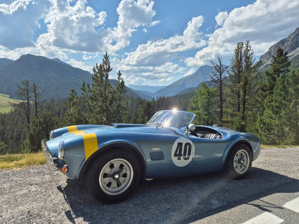 Afbeelding 4/5 van AC Cobra 289 (1965)