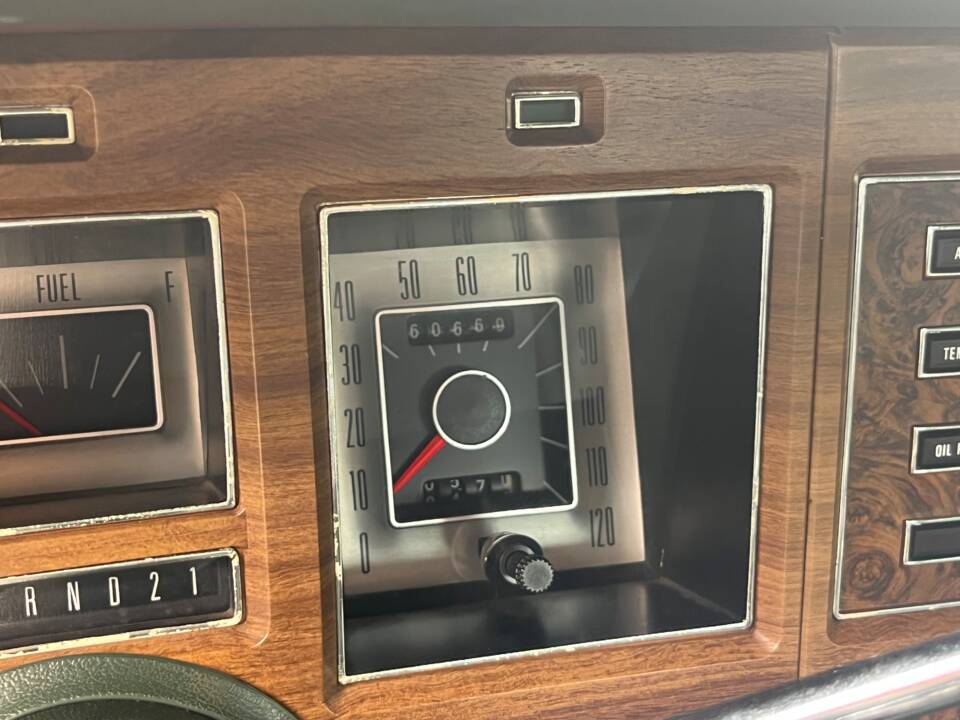 Image 18/20 of Lincoln Continental Mark IV (1973)