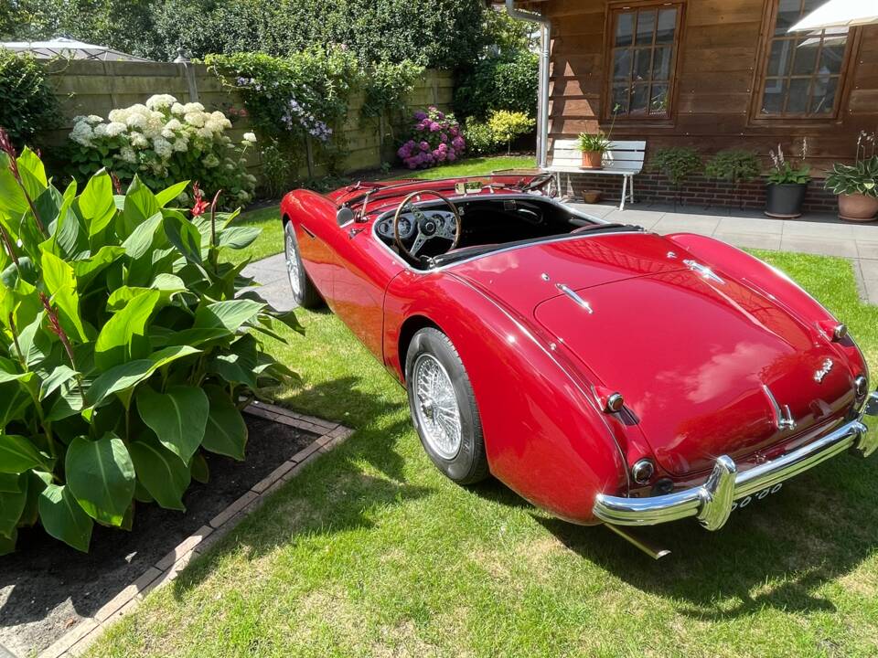 Bild 20/56 von Austin-Healey 100&#x2F;4 (BN1) (1955)