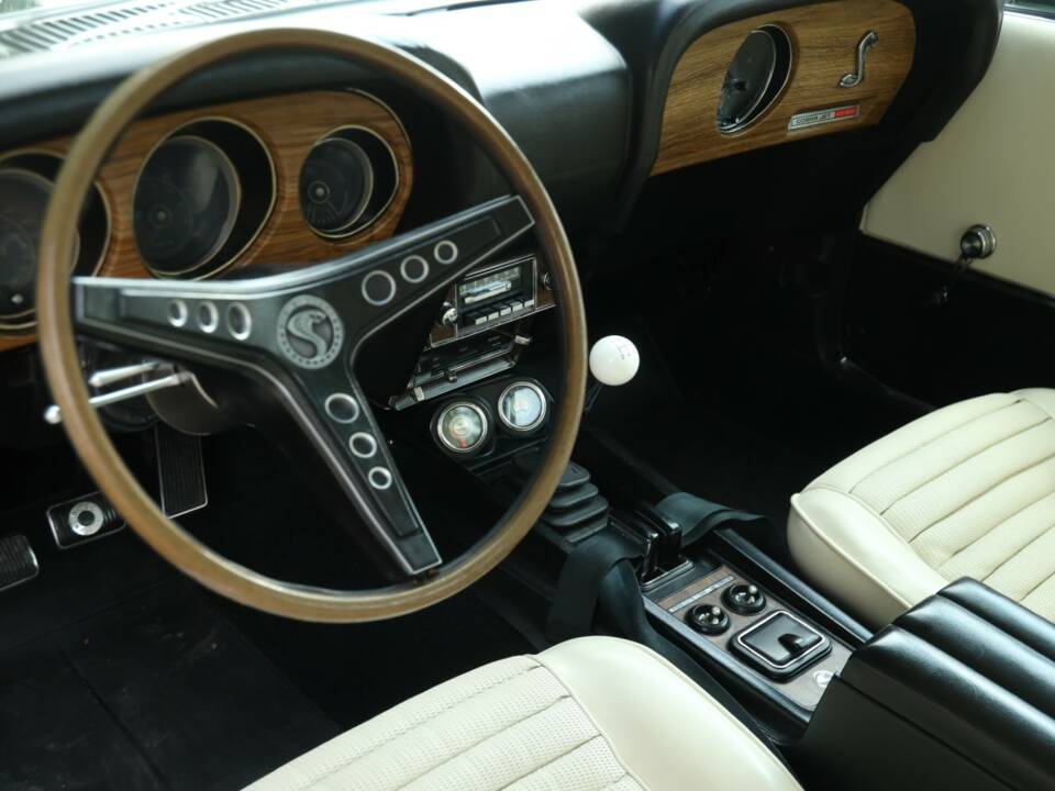 Image 26/50 of Ford Shelby GT 500 (1969)