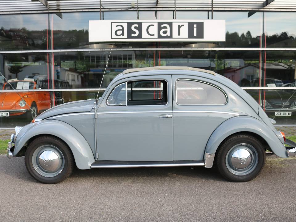 Imagen 2/50 de Volkswagen Beetle 1200 Standard &quot;Oval&quot; (1954)