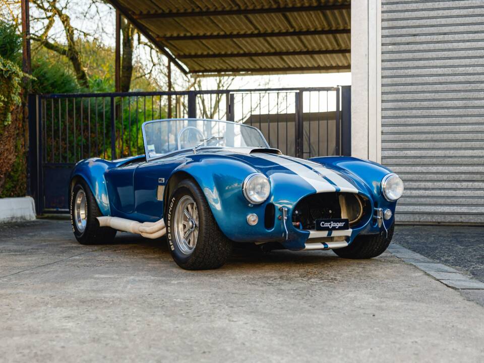 Image 6/68 of Shelby Cobra 289 (1966)