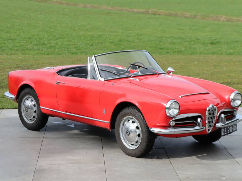 Bild 1/50 von Alfa Romeo Giulia 1600 Spider Veloce (1965)