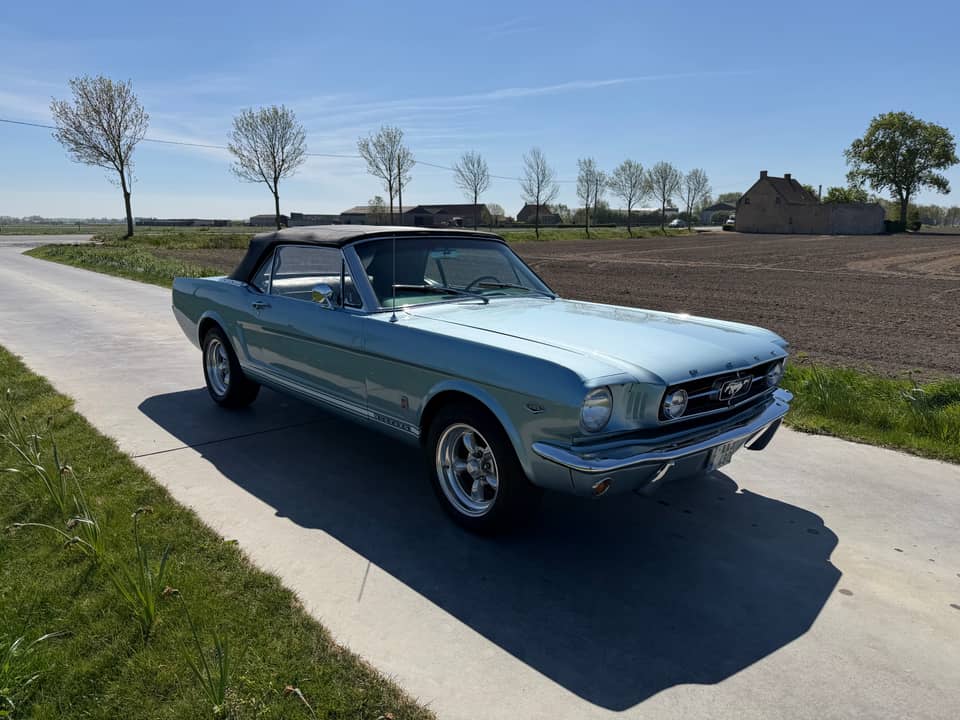 Bild 11/99 von Ford Mustang 289 (1965)