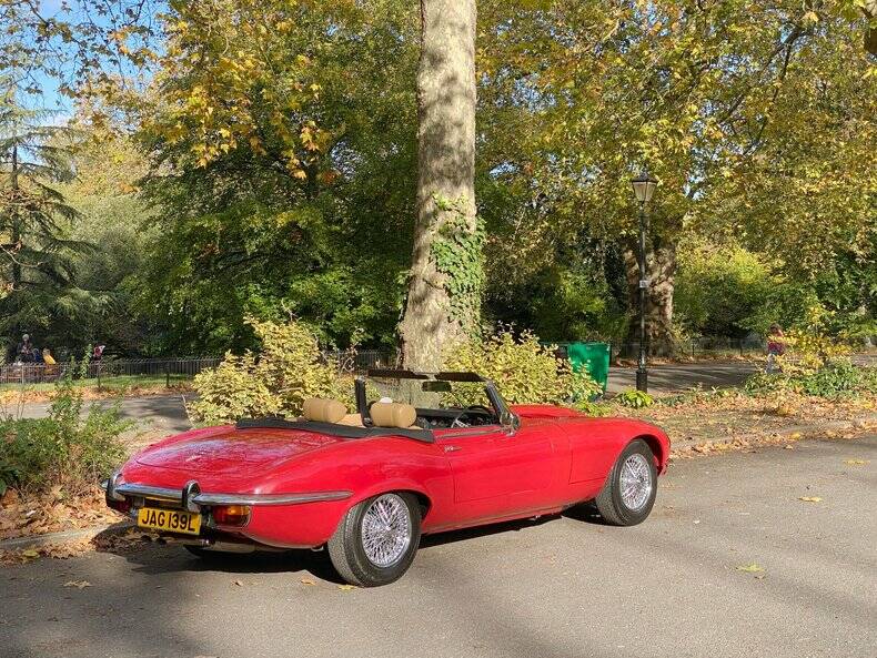 Afbeelding 42/50 van Jaguar E-Type V12 (1973)