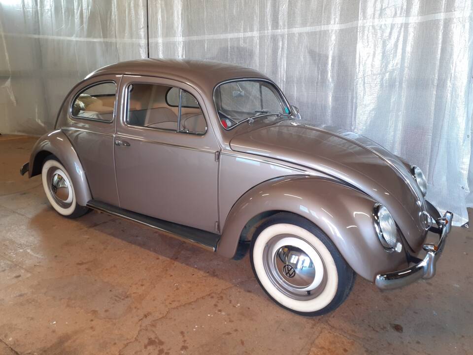 Image 50/79 of Volkswagen Beetle 1200 Export &quot;Oval&quot; (1954)