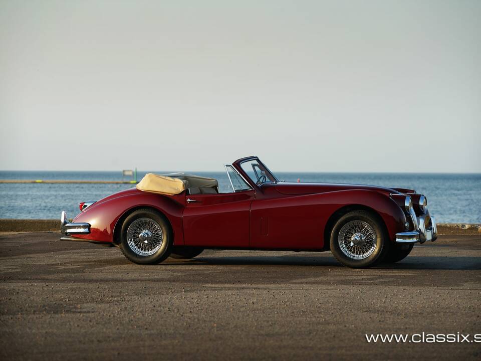 Image 8/28 of Jaguar XK 140 SE DHC (1955)