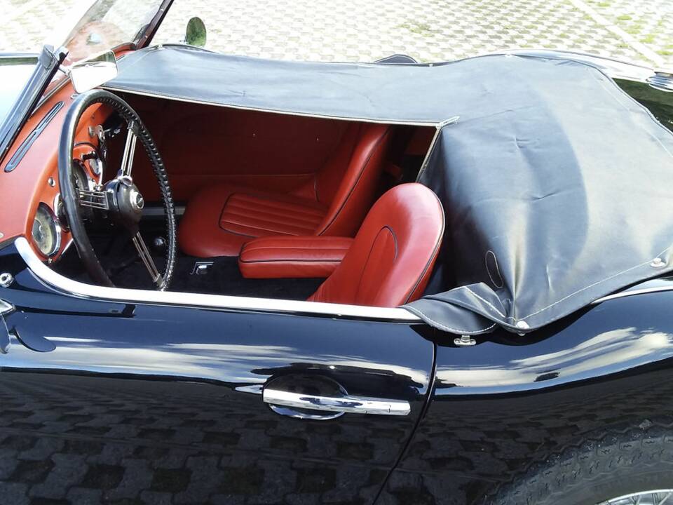Imagen 5/8 de Austin-Healey 100/6 (BN6) (1958)
