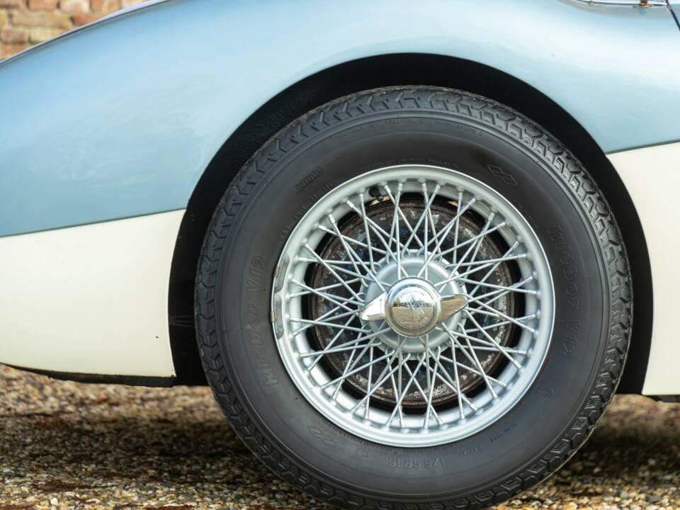 Bild 39/50 von Austin-Healey 3000 Mk I (BN7) (1960)