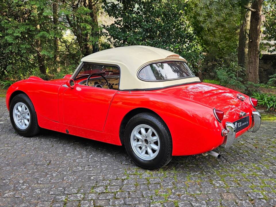 Image 2/11 of Austin-Healey Sprite Mk I (1961)