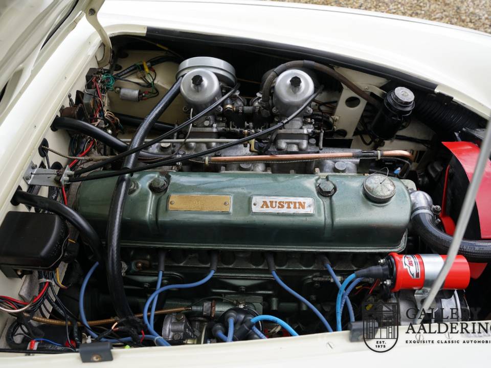 Imagen 4/50 de Austin-Healey 3000 Mk II (BJ7) (1963)