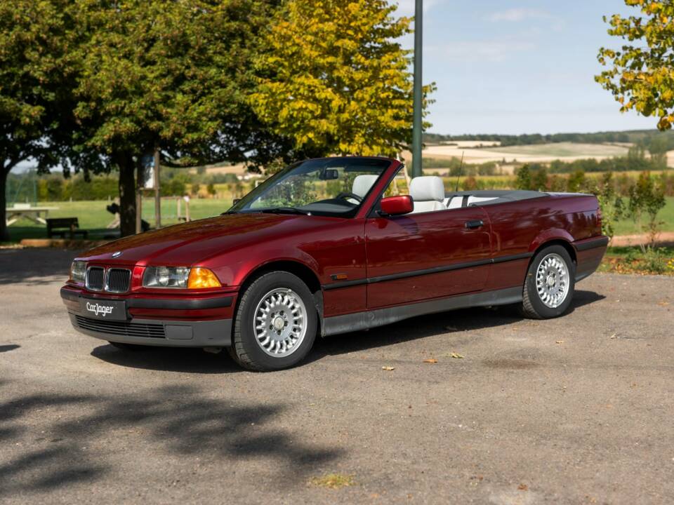 Immagine 10/23 di BMW 318i (1995)