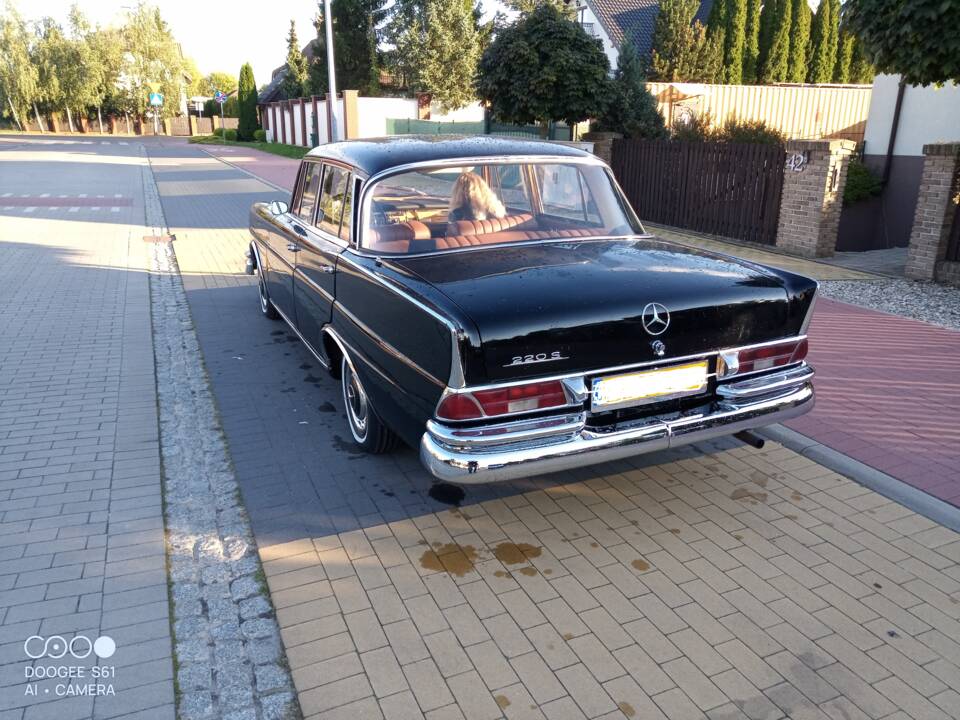 Bild 3/6 von Mercedes-Benz 220 S b (1965)