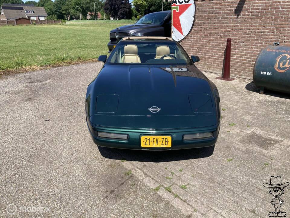 Immagine 23/29 di Chevrolet Corvette (1992)