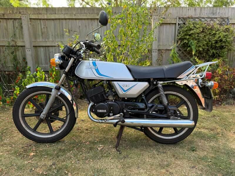 Image 2/36 of Yamaha RD 125 DX (1981)