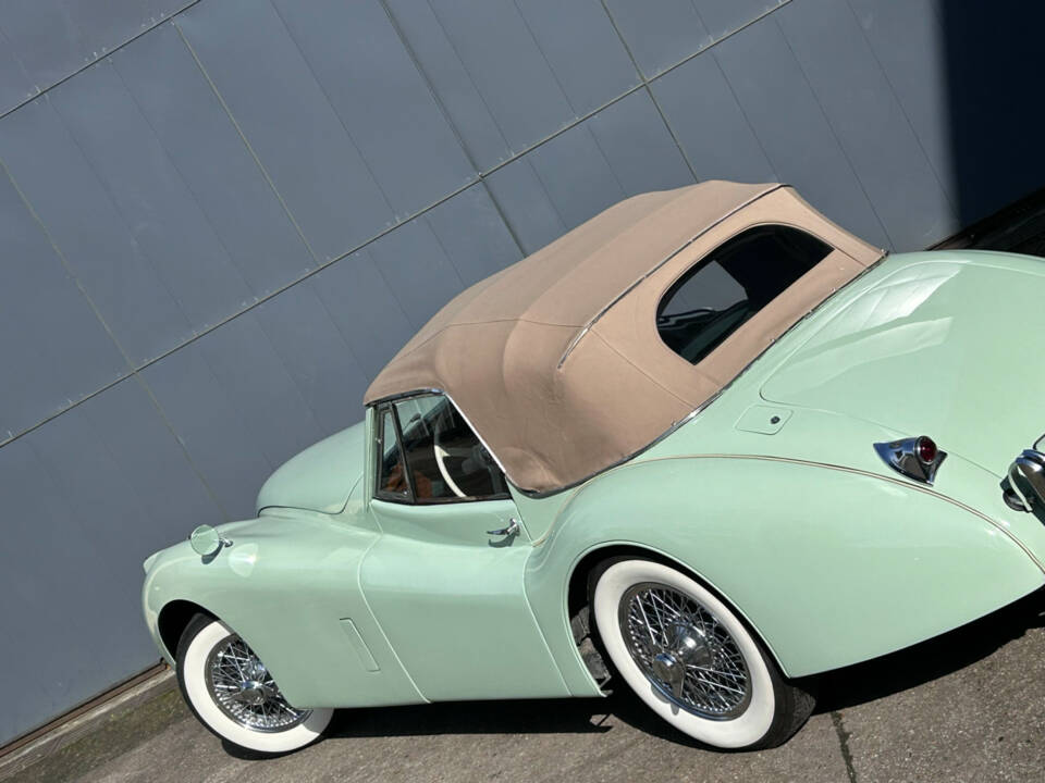 Image 14/24 of Jaguar XK 120 DHC (1953)