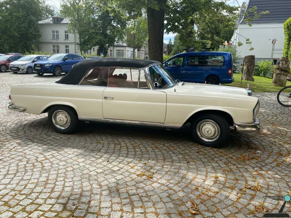 Bild 6/77 von Mercedes-Benz 250 SE (1966)