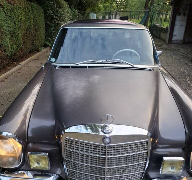 Bild 6/8 von Mercedes-Benz 300 SEL 3.5 (1972)