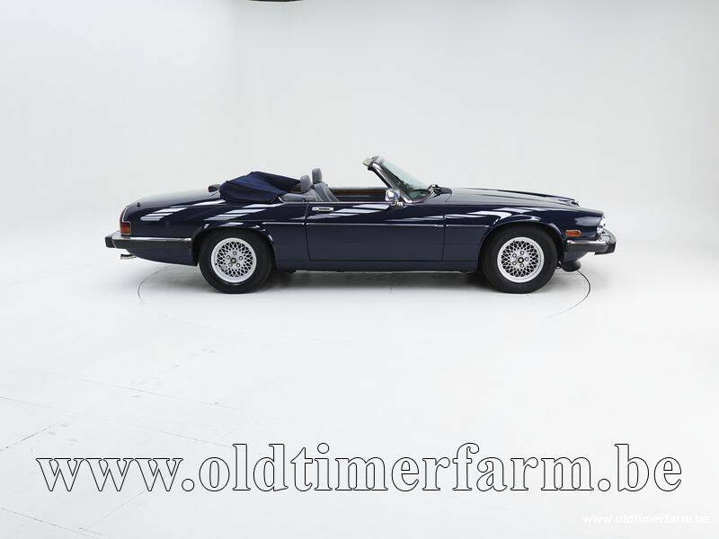 Bild 6/15 von Jaguar XJS 5.3 V12 (1989)