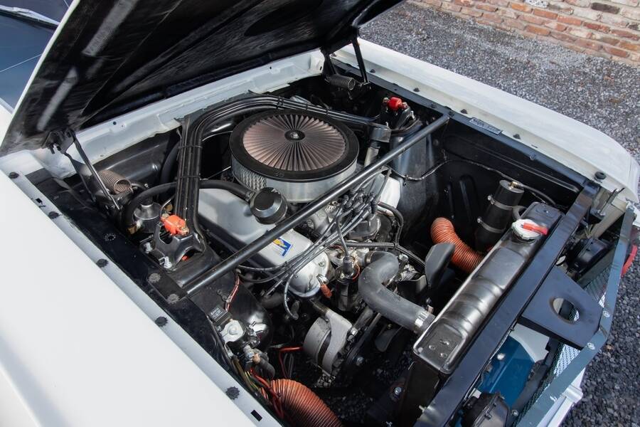 Afbeelding 30/48 van Ford Shelby GT 350 (1965)