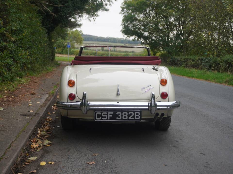 Immagine 5/25 di Austin-Healey 3000 Mk III (BJ8) (1964)
