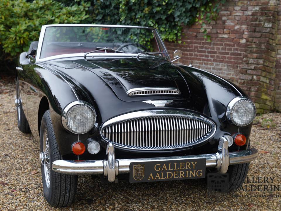 Bild 34/50 von Austin-Healey 3000 Mk III (BJ8) (1967)