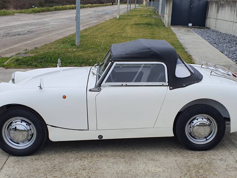 Image 9/30 of Austin-Healey Sprite Mk I (1961)