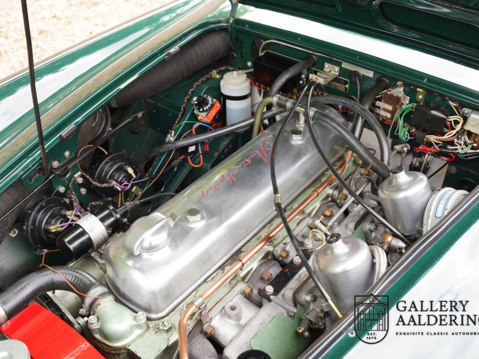 Immagine 17/50 di Austin-Healey 3000 Mk III (BJ8) (1966)