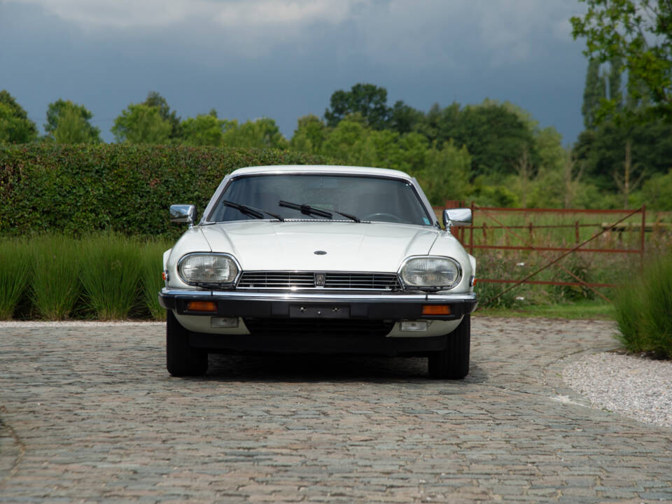 Image 38/39 of Jaguar XJS 5.3 V12 (1989)