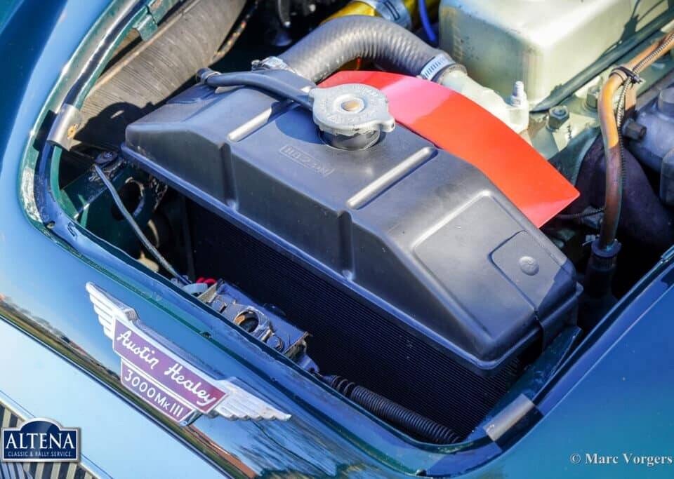 Immagine 31/44 di Austin-Healey 3000 Mk III (BJ8) (1965)