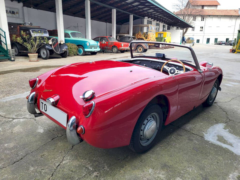 Image 10/51 of Austin-Healey Sprite Mk I (1960)
