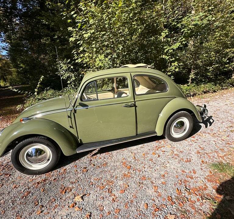 Bild 12/23 von Volkswagen Escarabajo 1200 (1960)