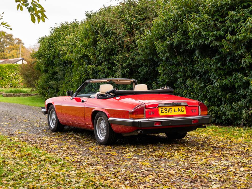 Image 15/50 of Jaguar XJS 5.3 V12 (1988)