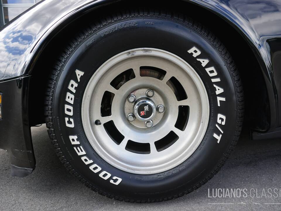Bild 16/58 von Chevrolet Corvette Sting Ray (1979)