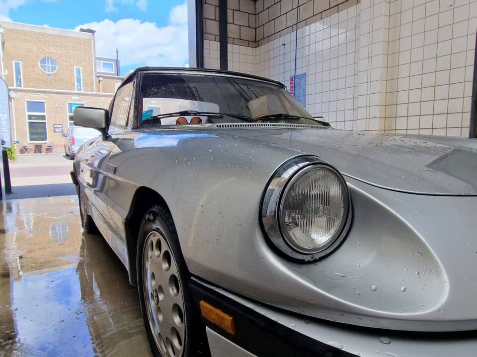 Bild 1/29 von Alfa Romeo 2.0 Spider (1986)