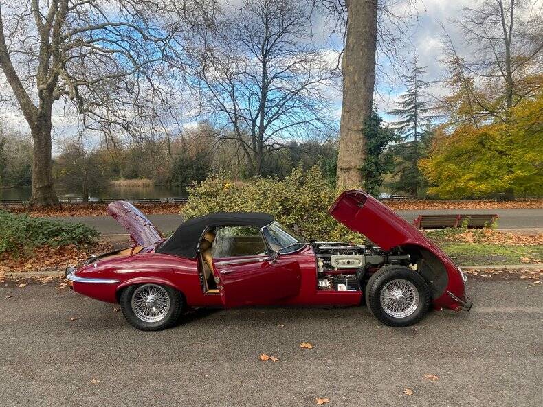 Afbeelding 47/50 van Jaguar E-Type V12 (1973)