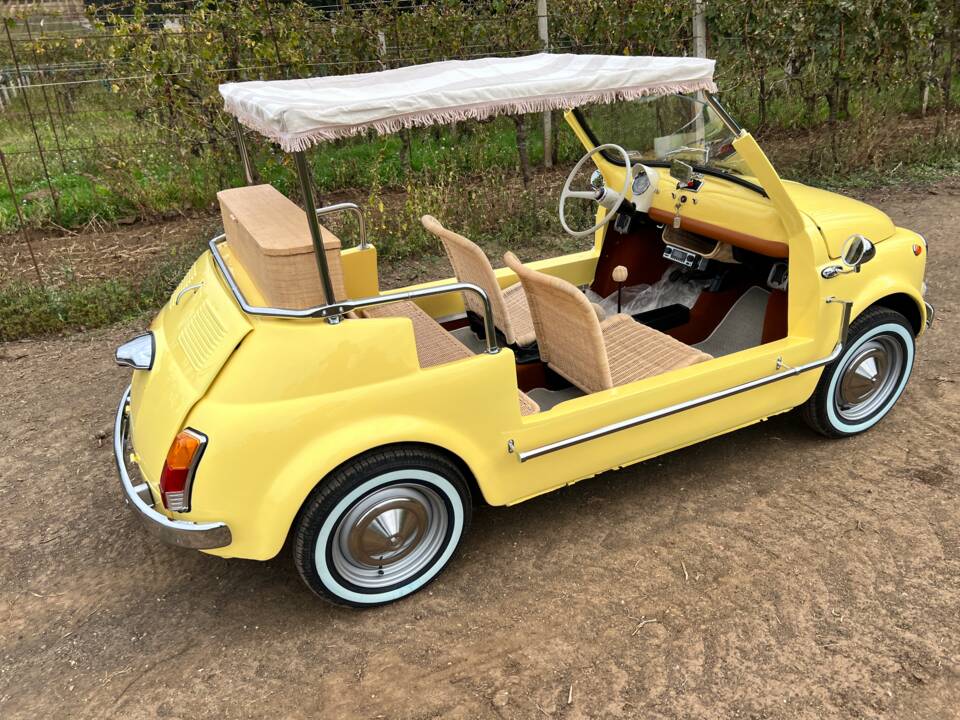 Bild 65/80 von FIAT Ghia 500 Jolly (1972)