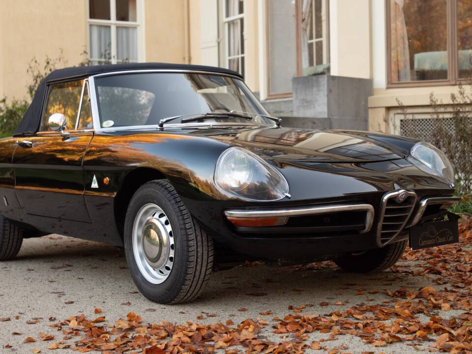Image 1/51 of Alfa Romeo 1600 Spider Duetto (1966)