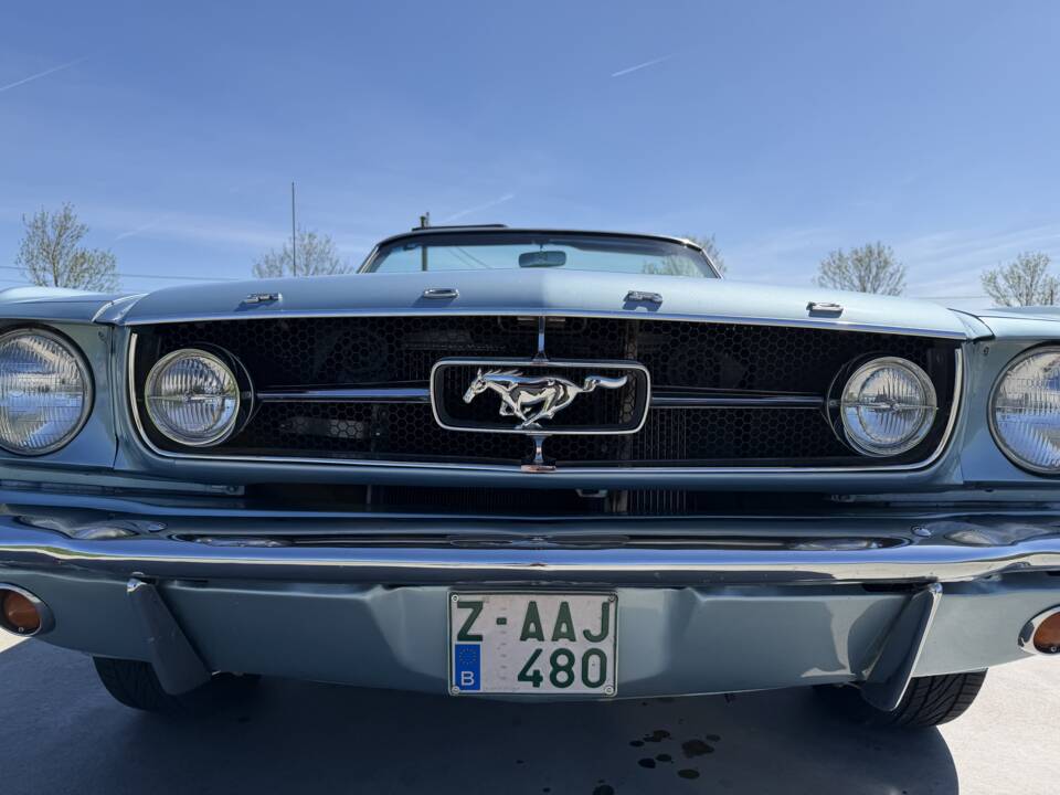 Bild 66/99 von Ford Mustang 289 (1965)
